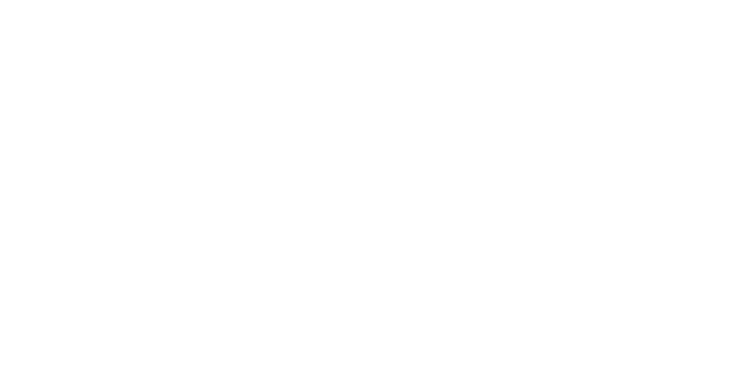 light logo