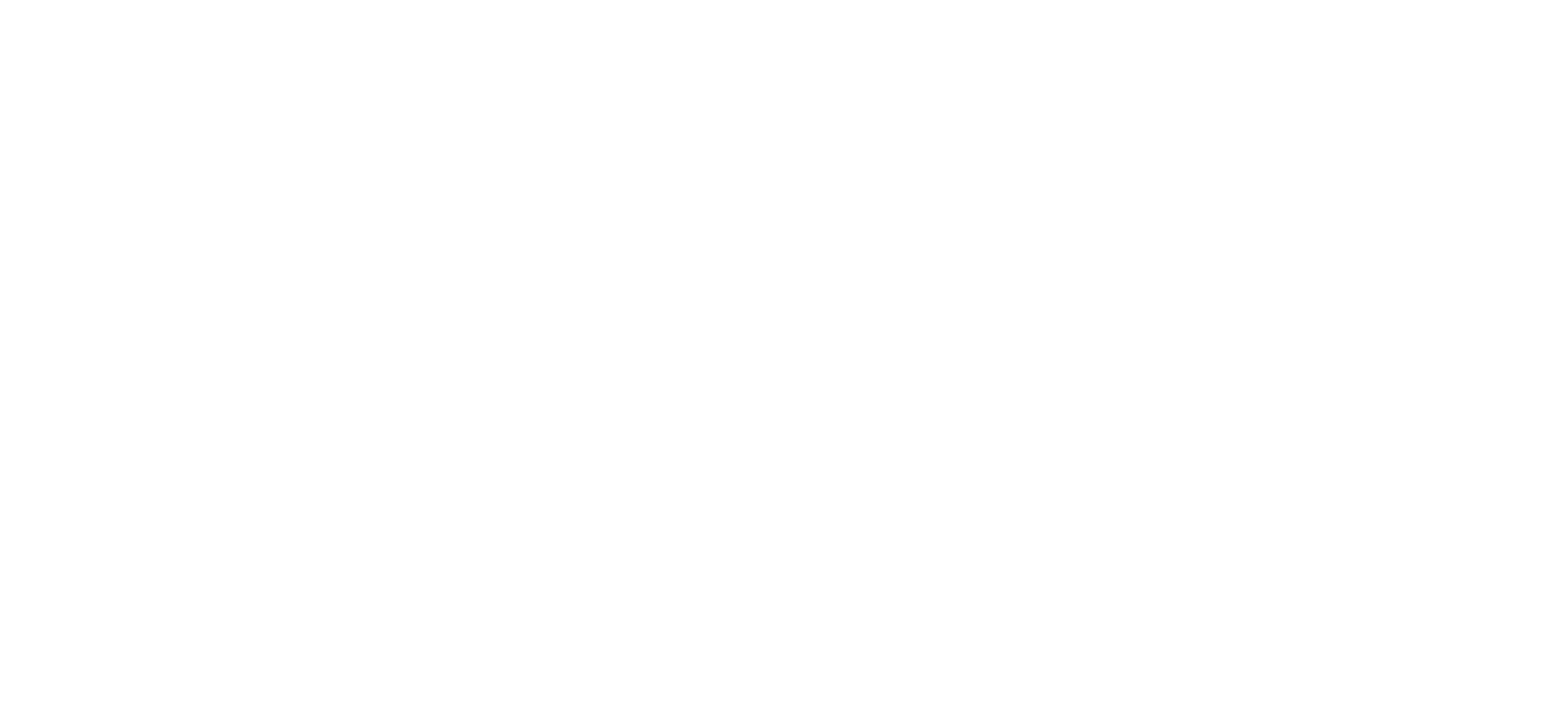 light logo